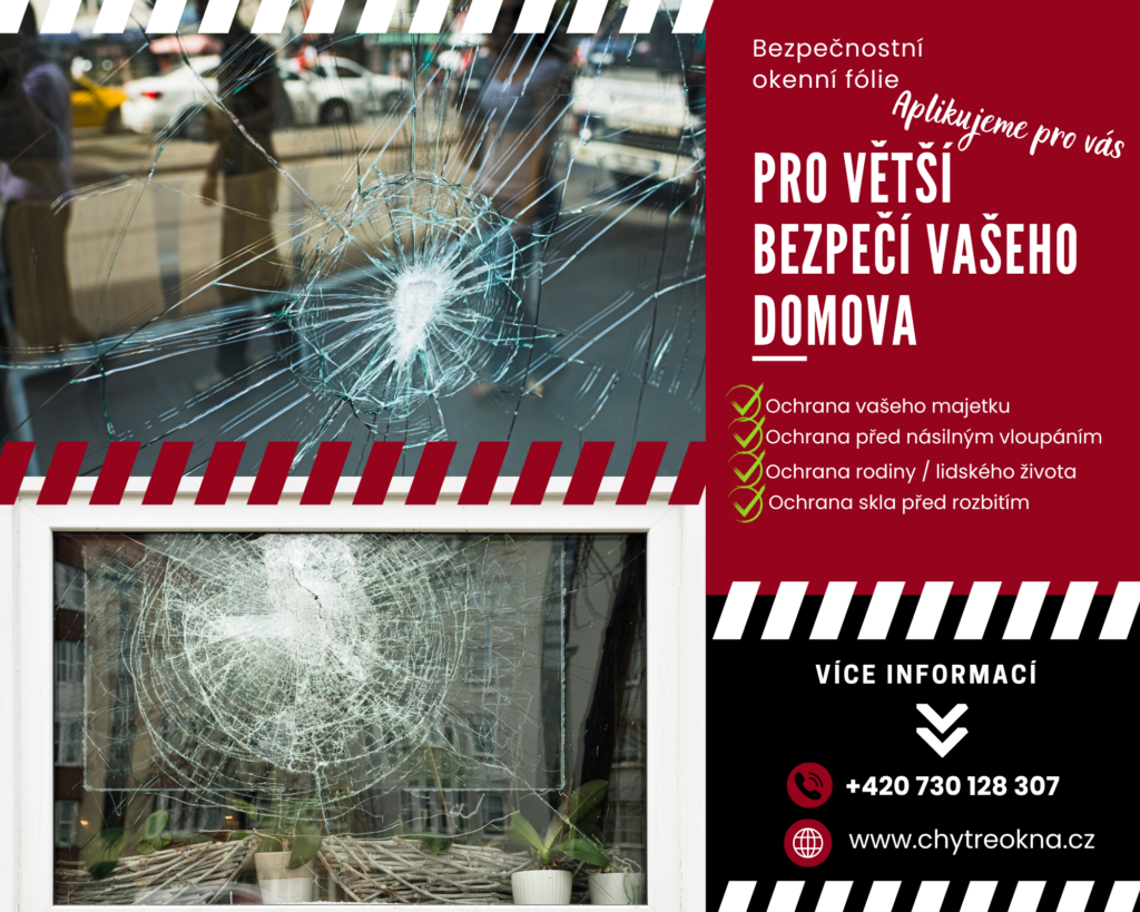 Cool Sport Cat Photo Collage 3